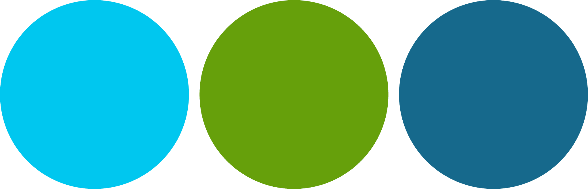 Where Every Veterinary Visit <br>Feels Like Coming Home