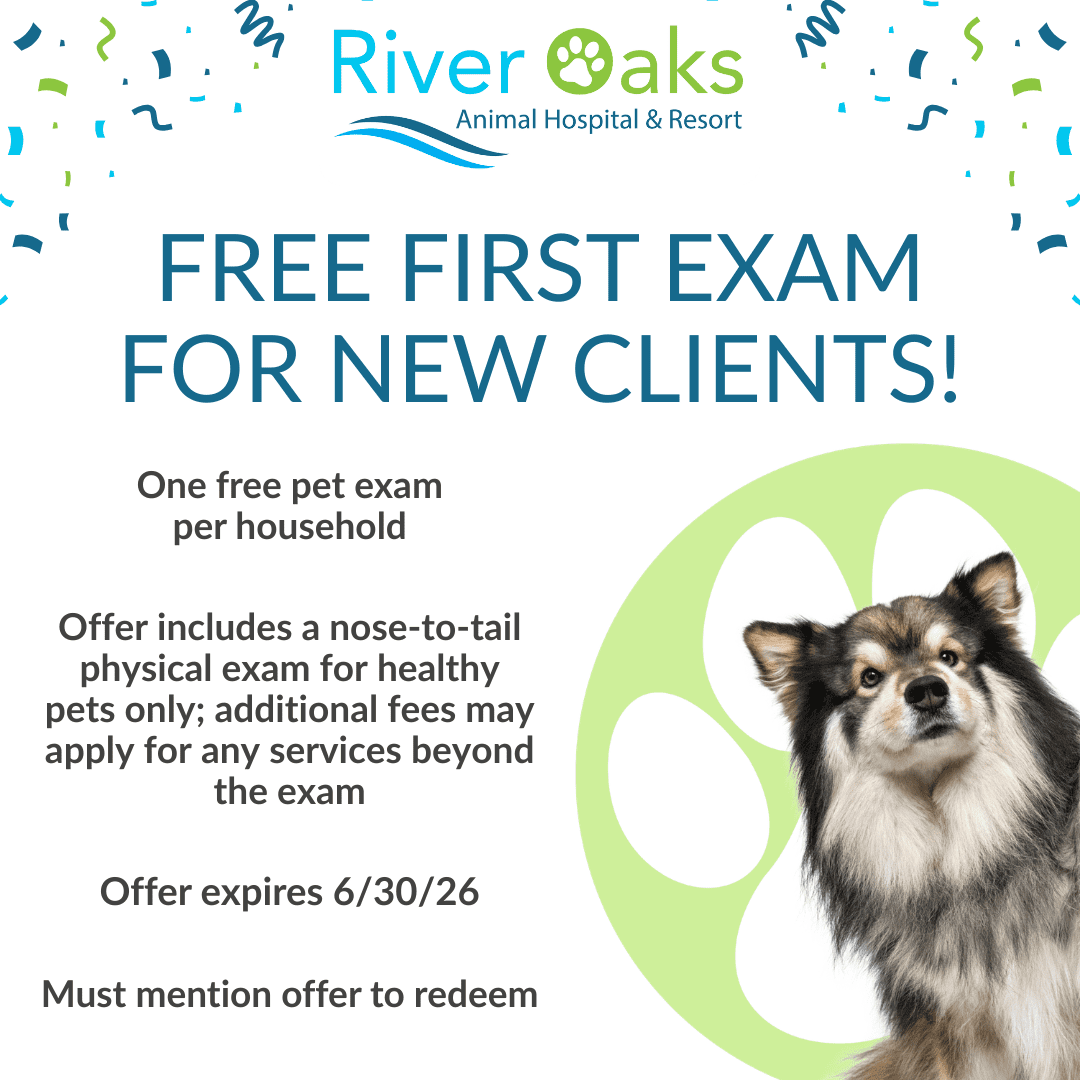 River Oaks Animal Hospital Free First Exam For New Clients