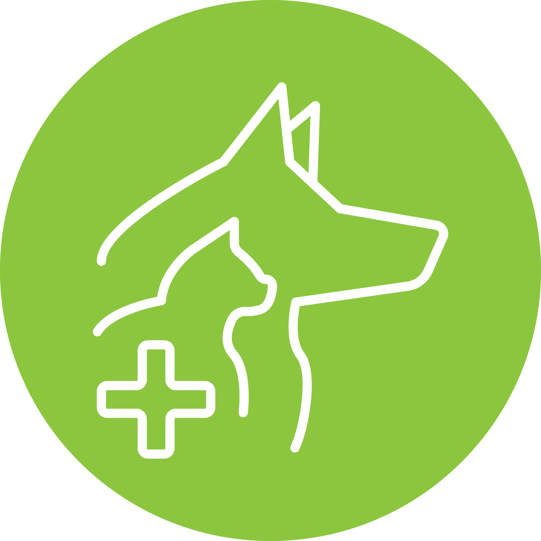Dog Cat Health Icon